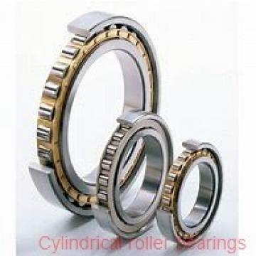25 mm x 47 mm x 12 mm  25 mm x 47 mm x 12 mm  FAG NU1005-M1 cylindrical roller bearings