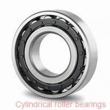 AST NJ2205 EM6 cylindrical roller bearings